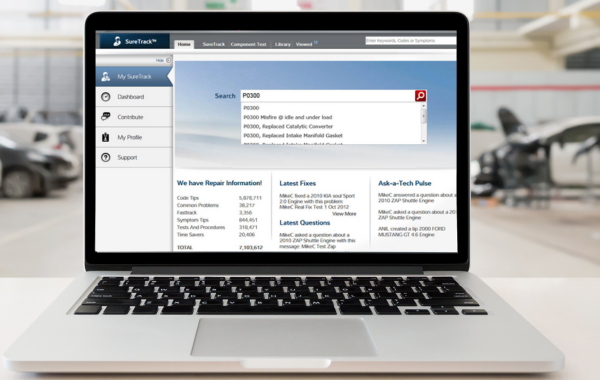Experience -Based Insights
