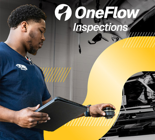OneFlow Inpections